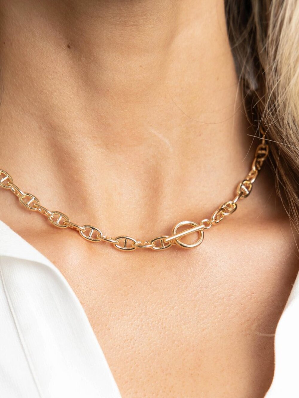 NWT Sahira Jewelry Taylor Toggle Chain Necklace